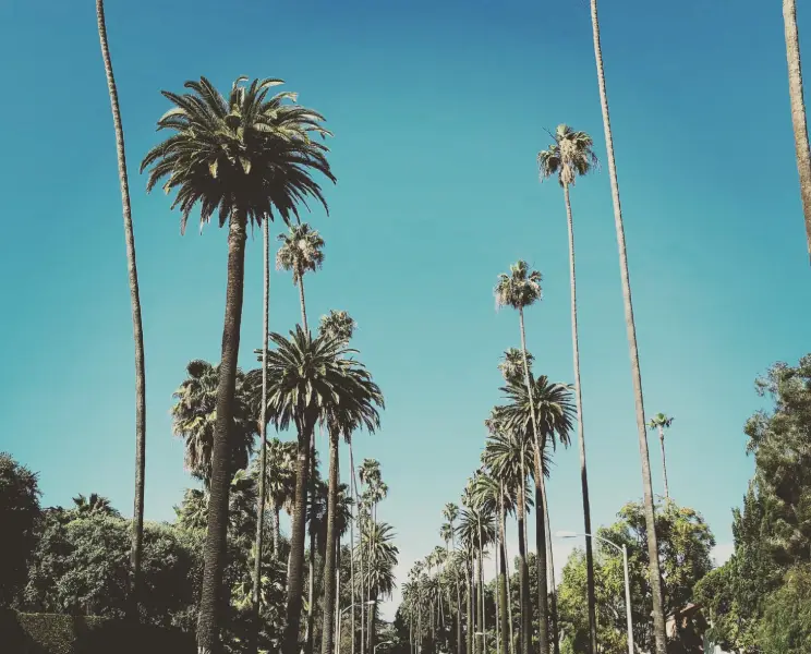 los-angeles